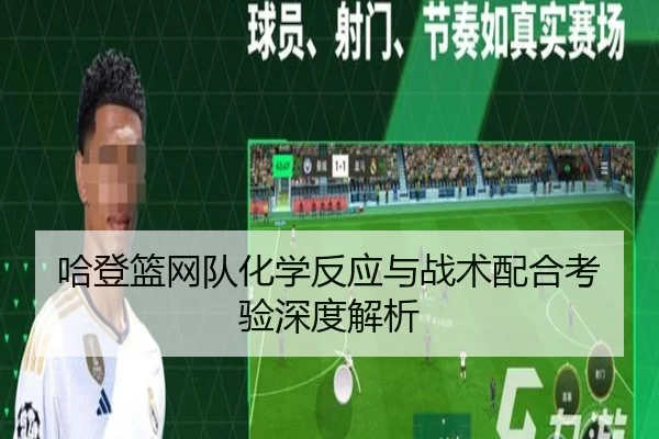 哈登篮网队化学反应与战术配合考验深度解析